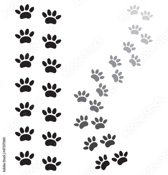 Obraz animal paw prints