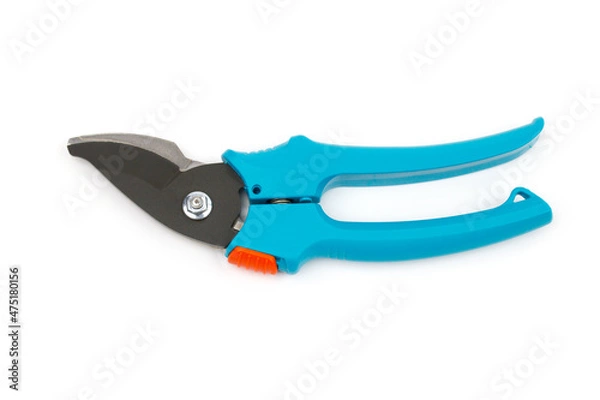 Obraz The garden tools