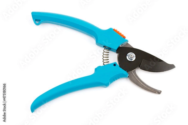 Obraz The garden tools