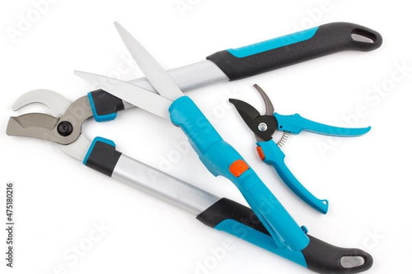 Obraz The garden tools