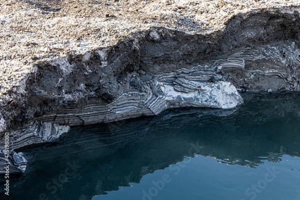 Obraz alligator in the everglades
