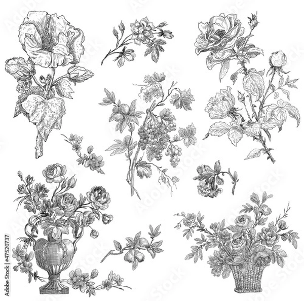 Obraz Floral illustration