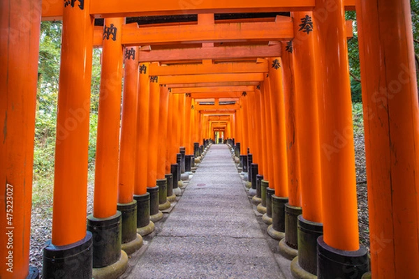 Fototapeta 京都府　伏見稲荷大社・千本鳥居