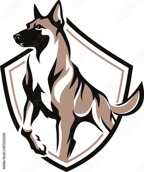 Obraz Shield Logo with Belgian Malinois (Shepherd) Dog