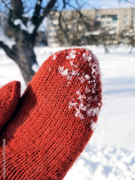 Obraz heart in the snow