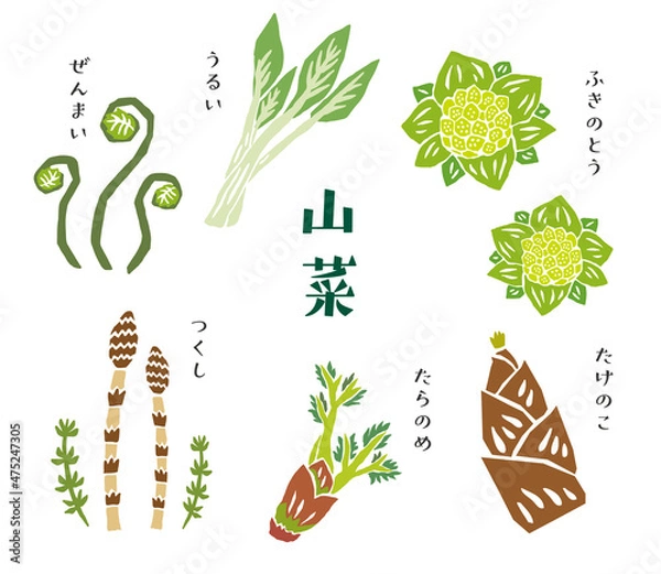 Obraz 山菜セット　レトロなベクターイラスト