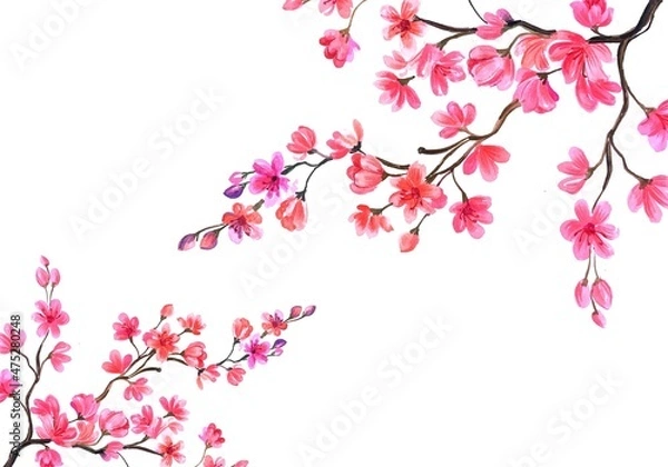 Fototapeta Cherry blossom card background