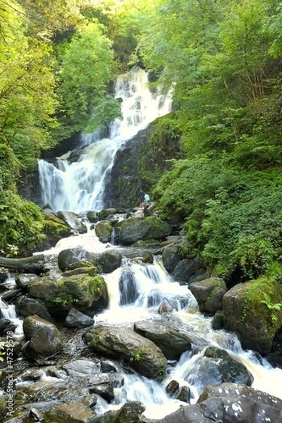 Obraz Torc Waterfall