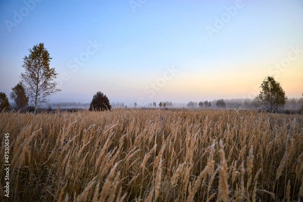 Obraz Sunrise over the field