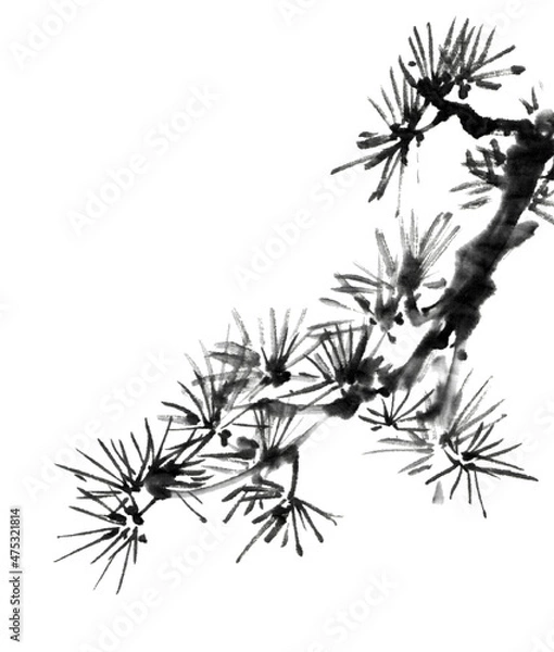 Fototapeta 水墨画技法で描いた松の枝