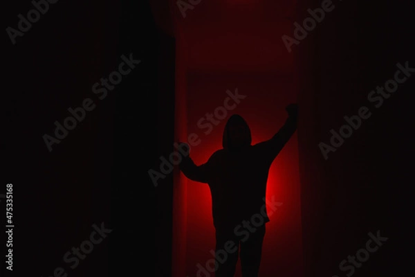Obraz Silhouette of a man on a red background.
Silhouette of a guy in the dark.