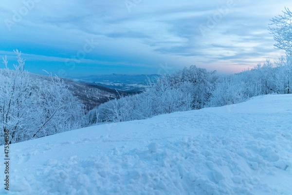 Obraz winter landscape in the mountains