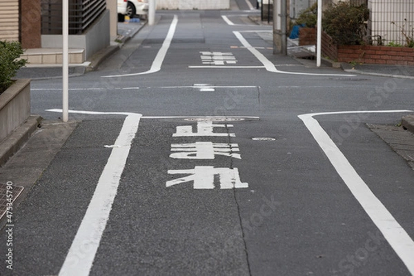 Obraz 一時停止　道路表示