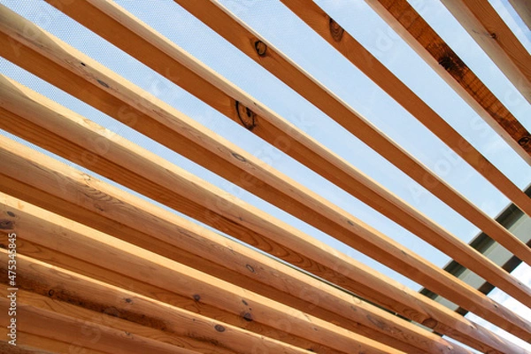 Obraz texture background