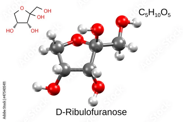 Fototapeta Chemical formula, structural formula and 3D ball-and-stick model of alpha-D-ribulofuranose, white background