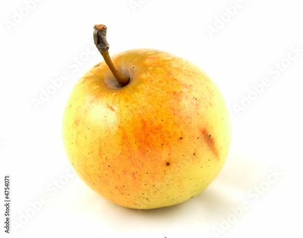Obraz Apple