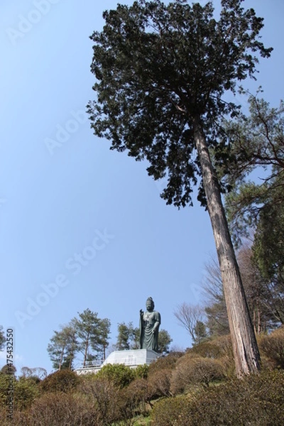 Fototapeta 塩船観音の観音様