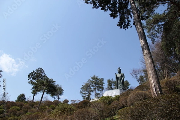 Fototapeta 塩船観音の観音様