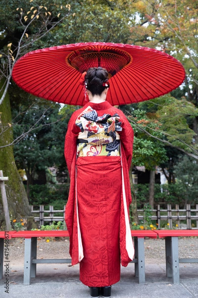 Obraz 成人式　振袖　和服　和傘　帯　つまみ細工