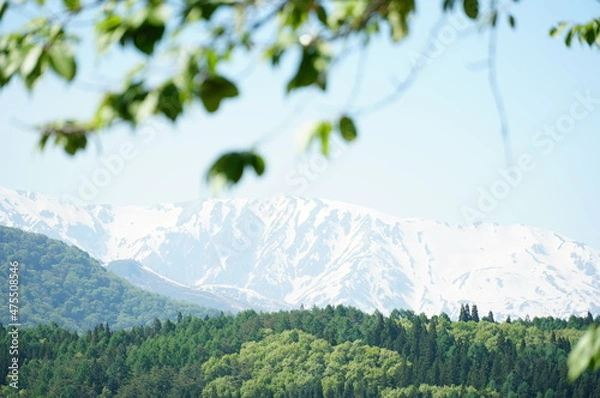 Fototapeta 信州、北アルプス、青木湖。こんな晴れた日に巡り合えた。