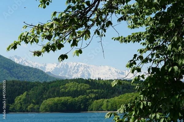 Fototapeta 信州、北アルプス、青木湖。こんな晴れた日に巡り合えた。