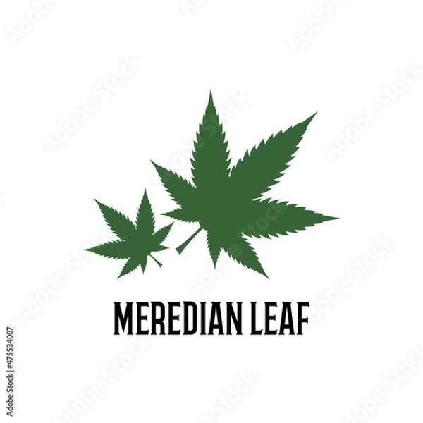 Obraz cannabis leaf vector illustration
