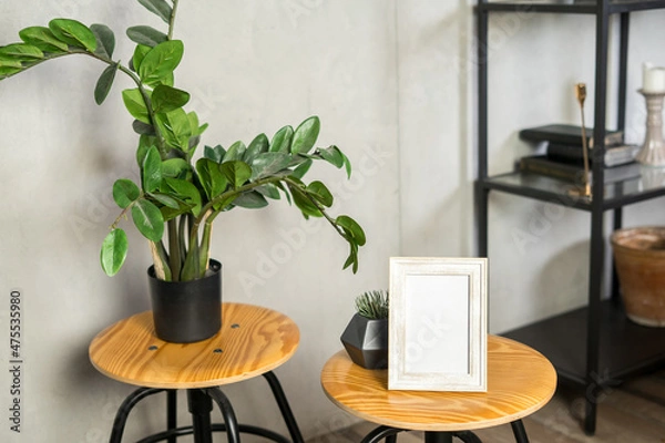 Obraz Beautiful home plant zamiokulkas with frame mockup