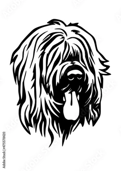 Obraz Briard Hirtenhund