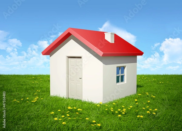 Obraz The house on a grass