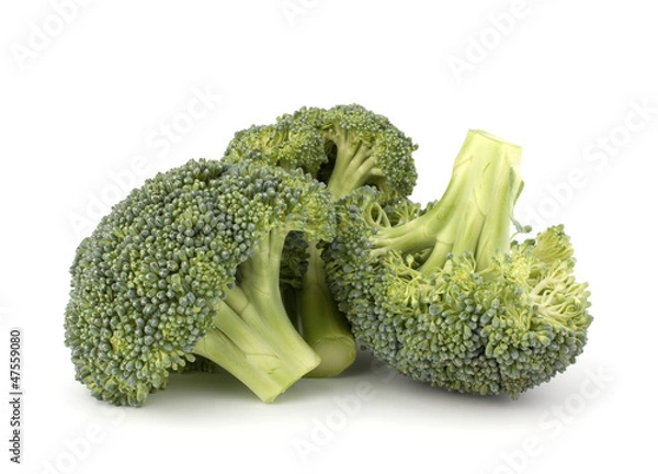 Obraz Broccoli vegetable