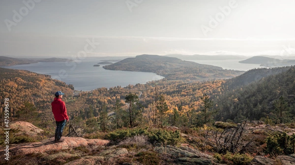 Fototapeta Man looks out over the coast of Höga Kusten on eats coast in Sweden from Skuleberget mountain during autumn.