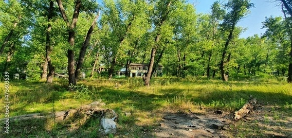 Obraz abandoned house