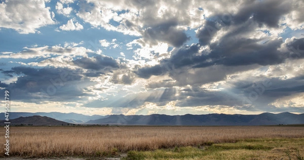 Fototapeta Chilly Slough