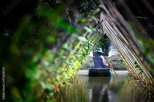 Obraz A farmer uses a rowing boat to water his vegetables until the water is a fine mist in the evening.