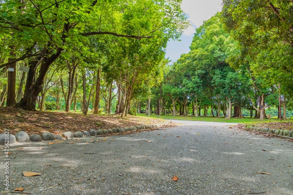 Obraz 公園の散歩道