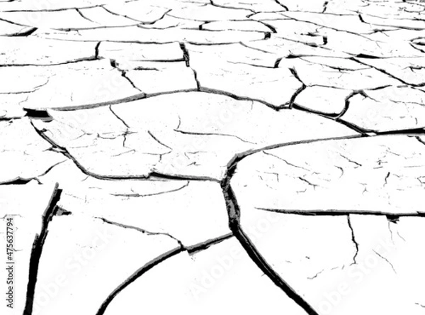 Fototapeta The texture of cracks. The structure of dry cracked soil. Black and white vector illustration.