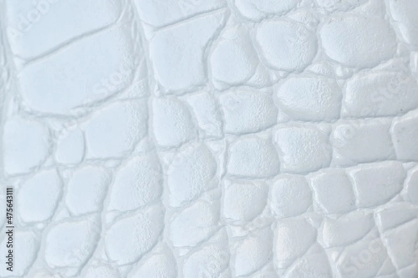 Fototapeta Close-up of white crocodile skin texture, beautiful abstract pattern.