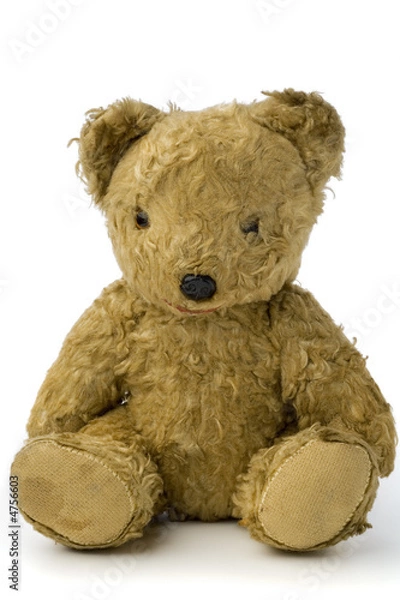 Obraz teddy