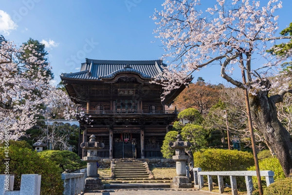 Fototapeta 高麗山聖天院勝楽寺（こまざん しょうでんいん しょうらくじ）の楼門と桜／日本埼玉県日高市