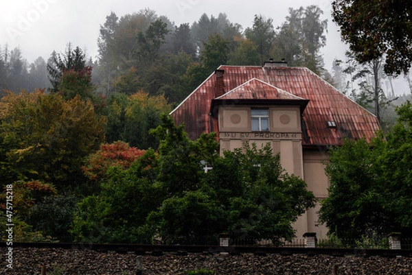Fototapeta beautiful villa from the last century in the middle of the forest