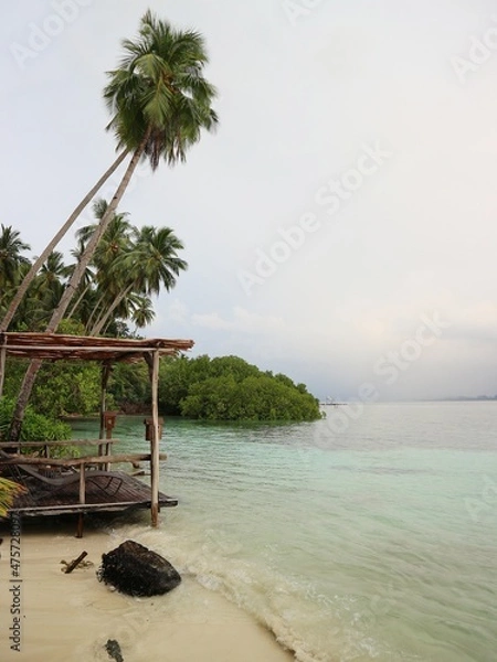 Obraz beach with palm trees