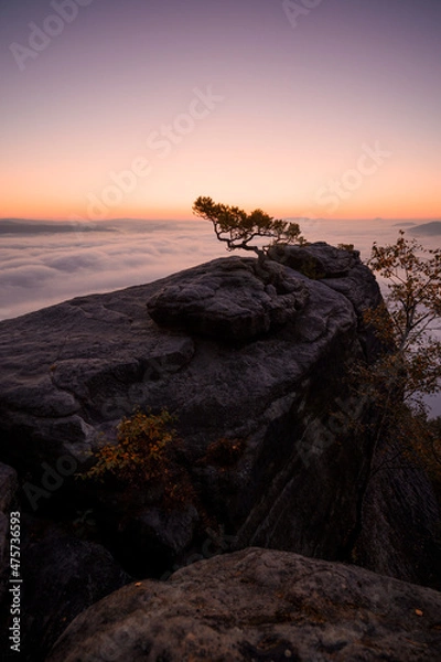 Obraz sunset over the sea