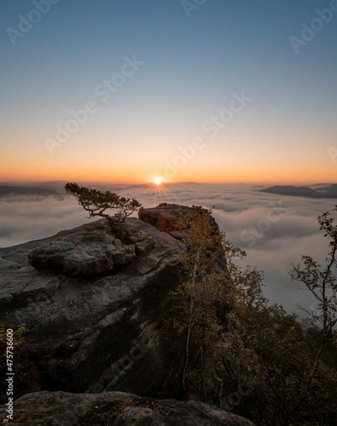 Obraz sunset on the coast