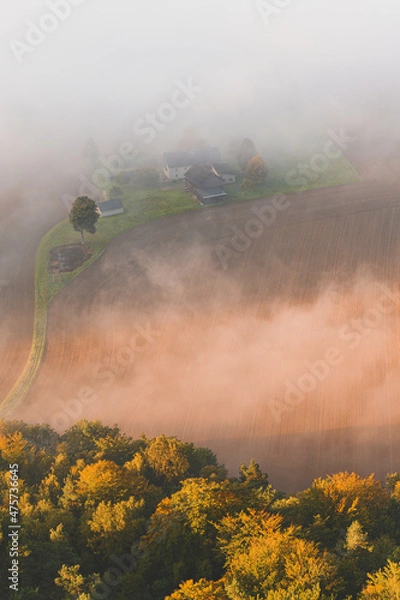 Obraz fog in the mountains