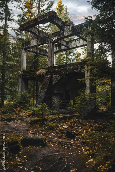 Obraz bridge over the river