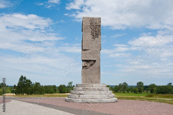 Obraz Grunwald - monument