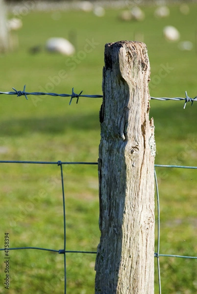 Obraz fence post in field