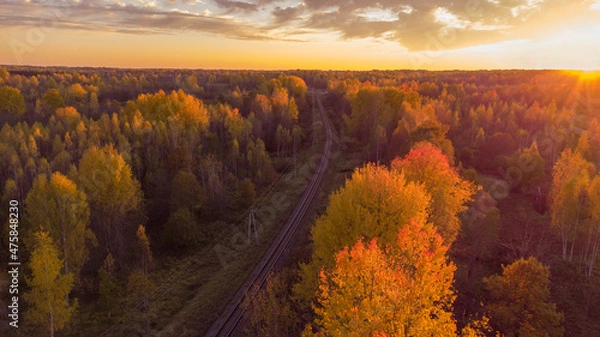 Fototapeta Aeral view of the autumn forest at sunset from a drone. The railway passes through the forest