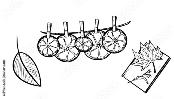 Obraz Witch autumn illustration vector icon set