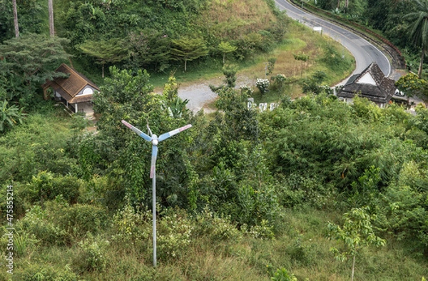 Obraz road in the forest